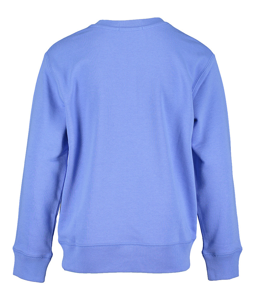 Blauwe sweater Ralph Lauren
