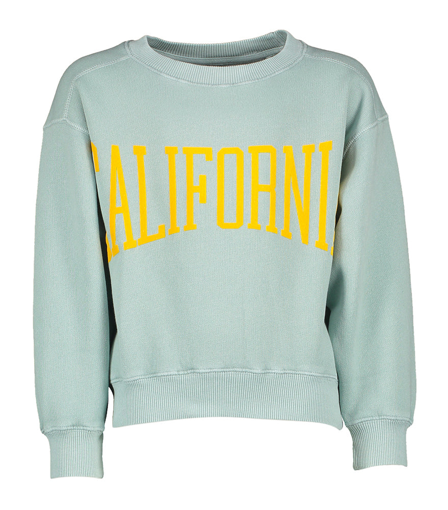 Muntgroene sweater met gele opdruk Fadol Bellerose