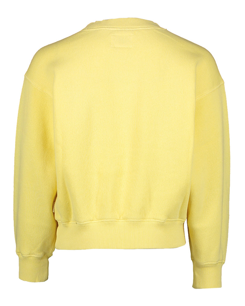 Gele sweater California Bellerose