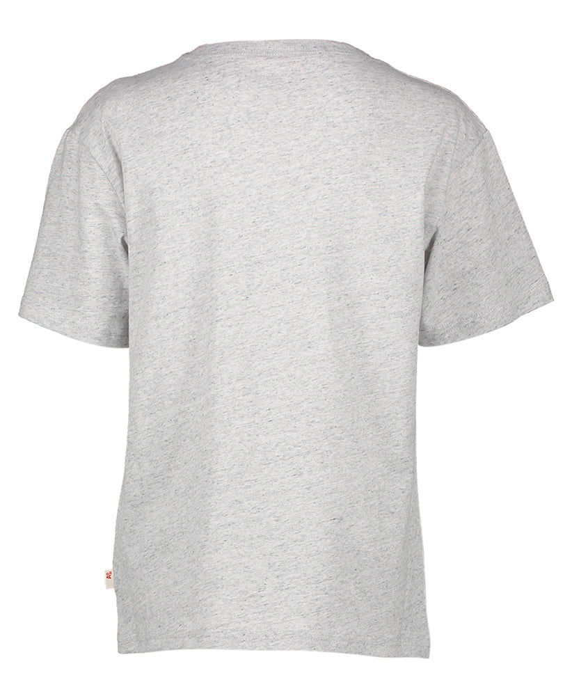 Grijze t-shirt met palmboom print AO75