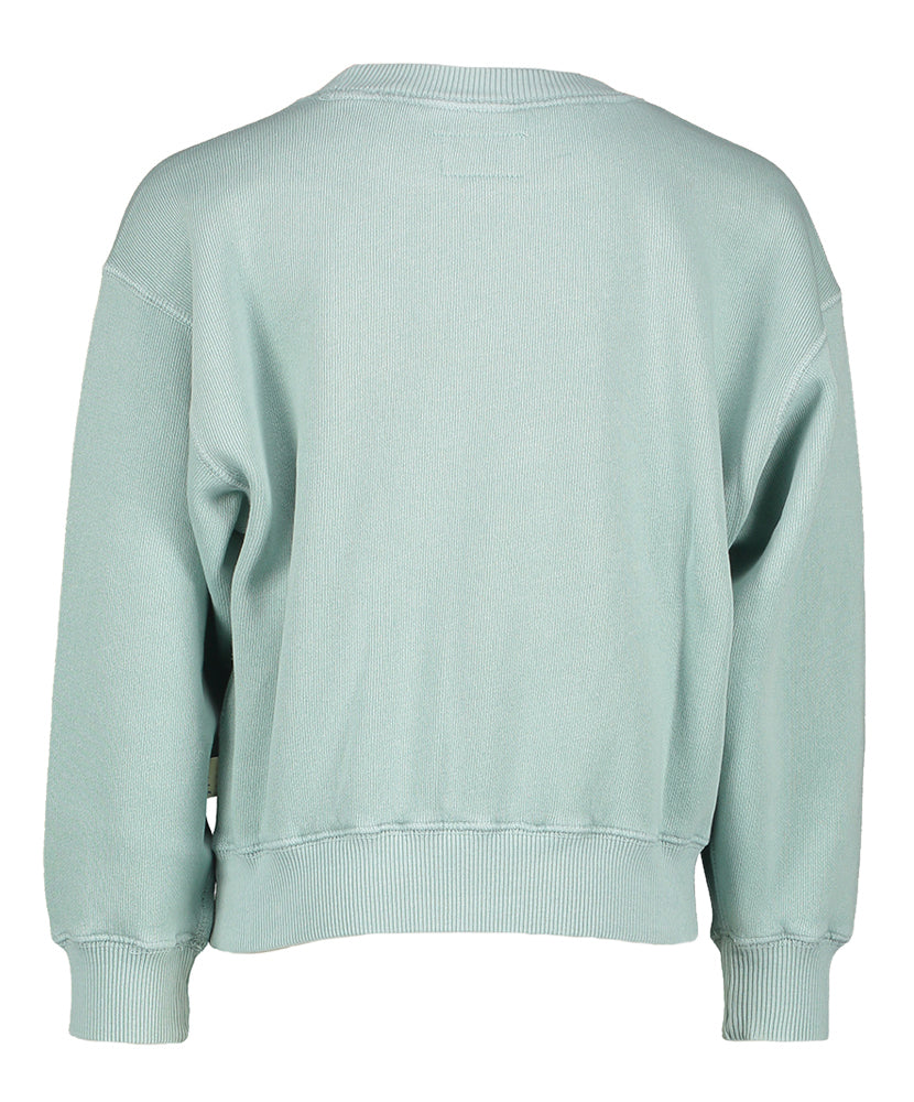 Muntgroene sweater met gele opdruk Fadol Bellerose