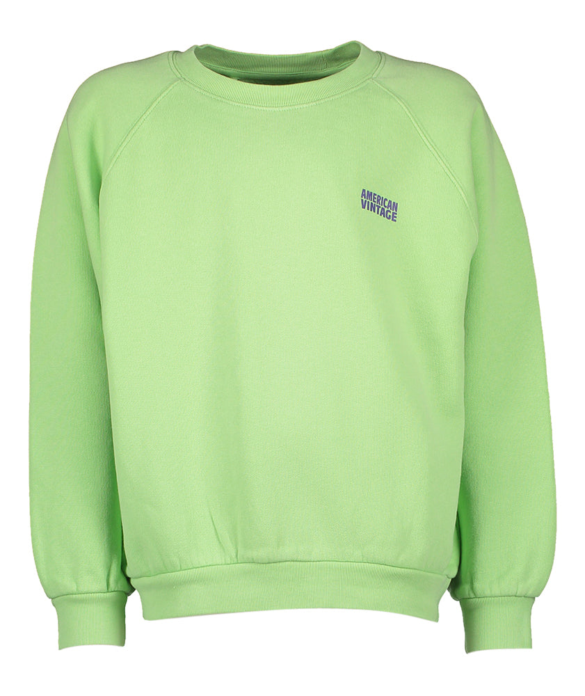 Groene sweater America Vintage