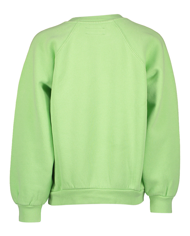 Groene sweater America Vintage